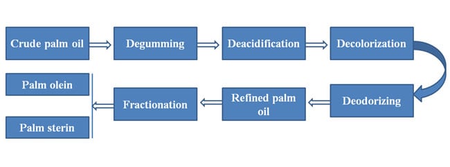 processus de production d'huile de palme 1